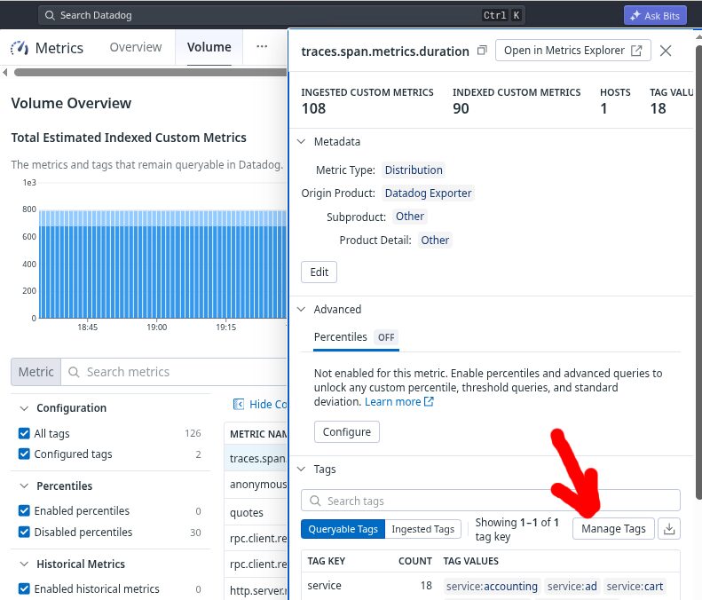 DataDog volume overview-web